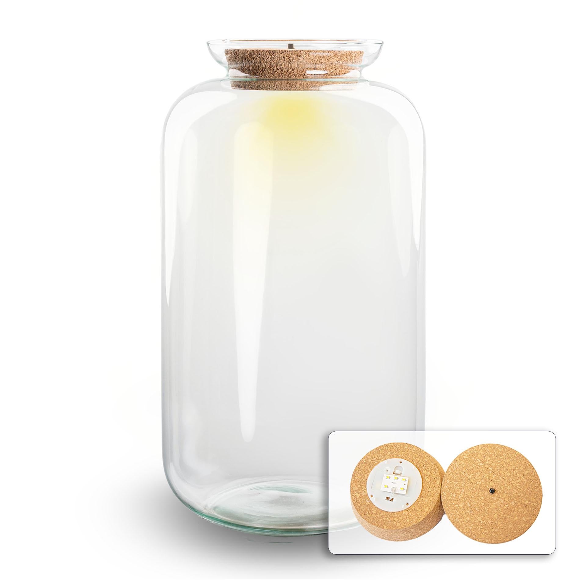 Terrarienflasche mit Beleuchtung – Sven XL – Ø 23 cm ↑ 43 cm