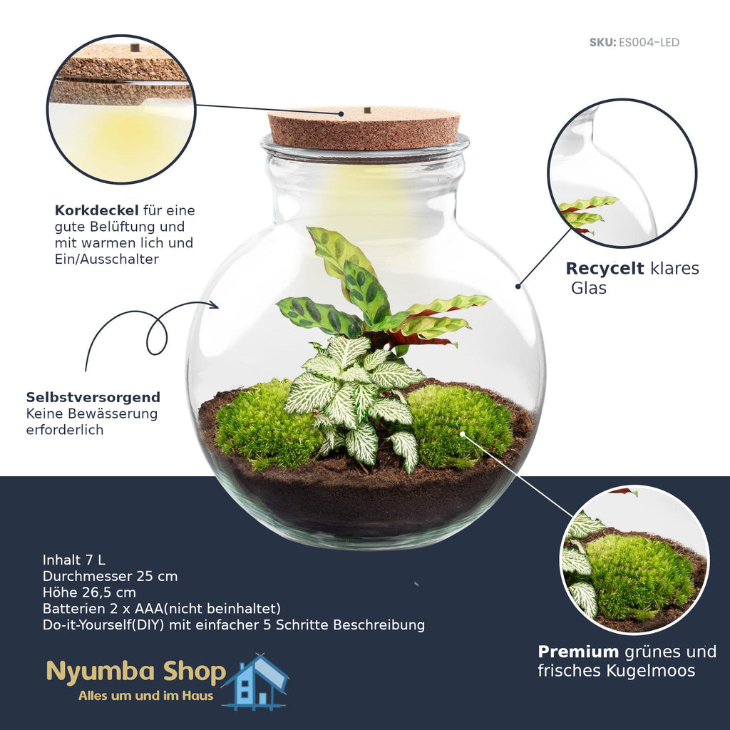 Flaschengarten – Teddy – ↕ 26,5 cm – Mit LED-Hals