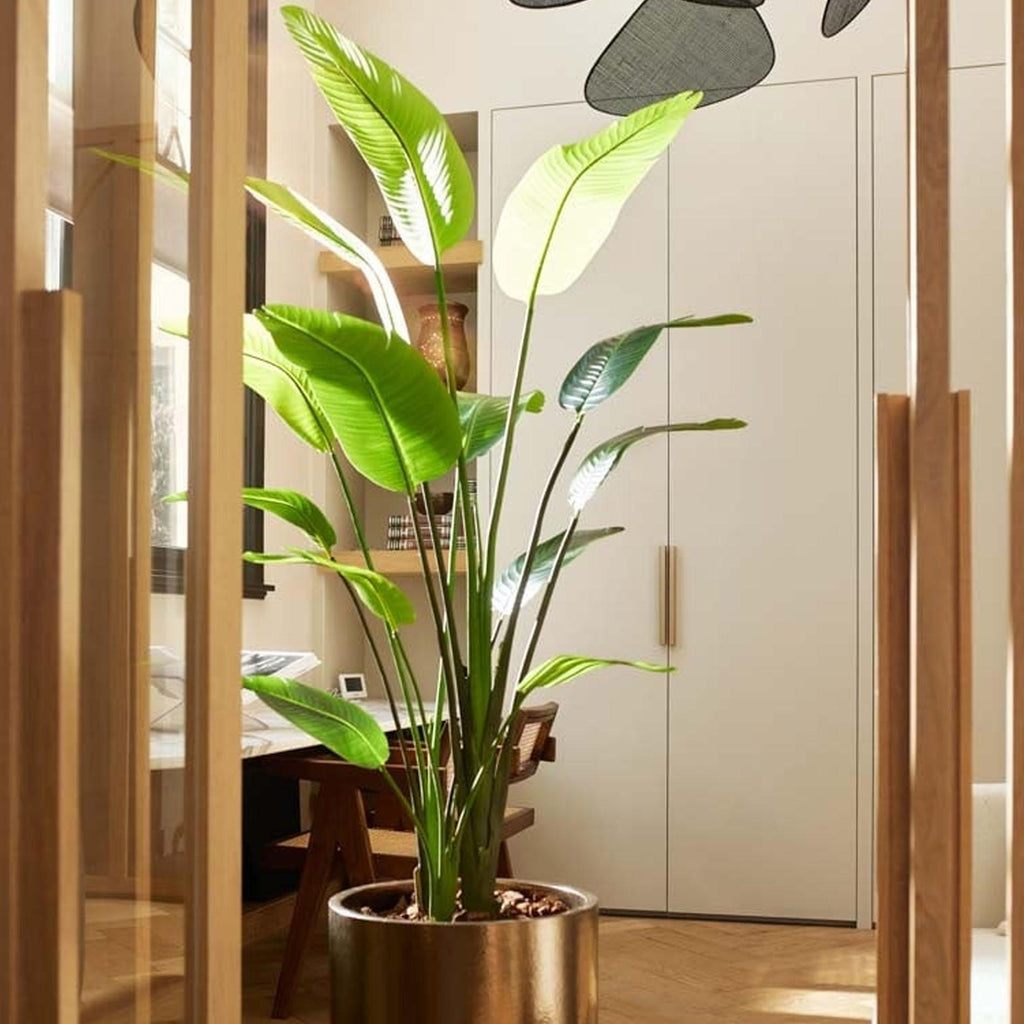 Strelitzia nicolai – 180 cm – In schwarzem Topf – Künstliche Pflanze