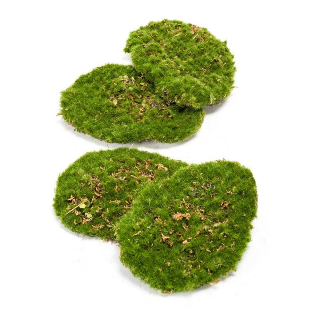 Moosplatte – Grünes Moos – 4er-Set – Kunstmoos