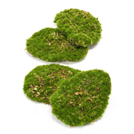 Moosplatte – Grünes Moos – 4er-Set – Kunstmoos