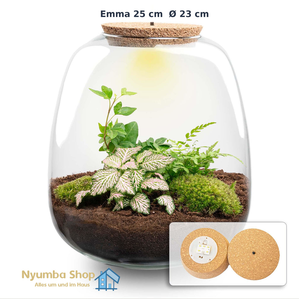 Pflanzenterrarium – Emma – DIY-Set – ↑ 25 cm – Ø 23 cm – Hedera Pink