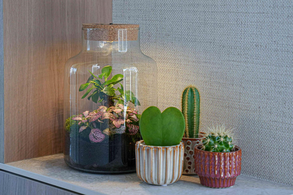 'LOVE MOM' Terrarium Little Milky + gravierter Kork mit Licht - Flaschengarten DIY Set - Ø 17 cm ↑ 25 cm - Muttertag