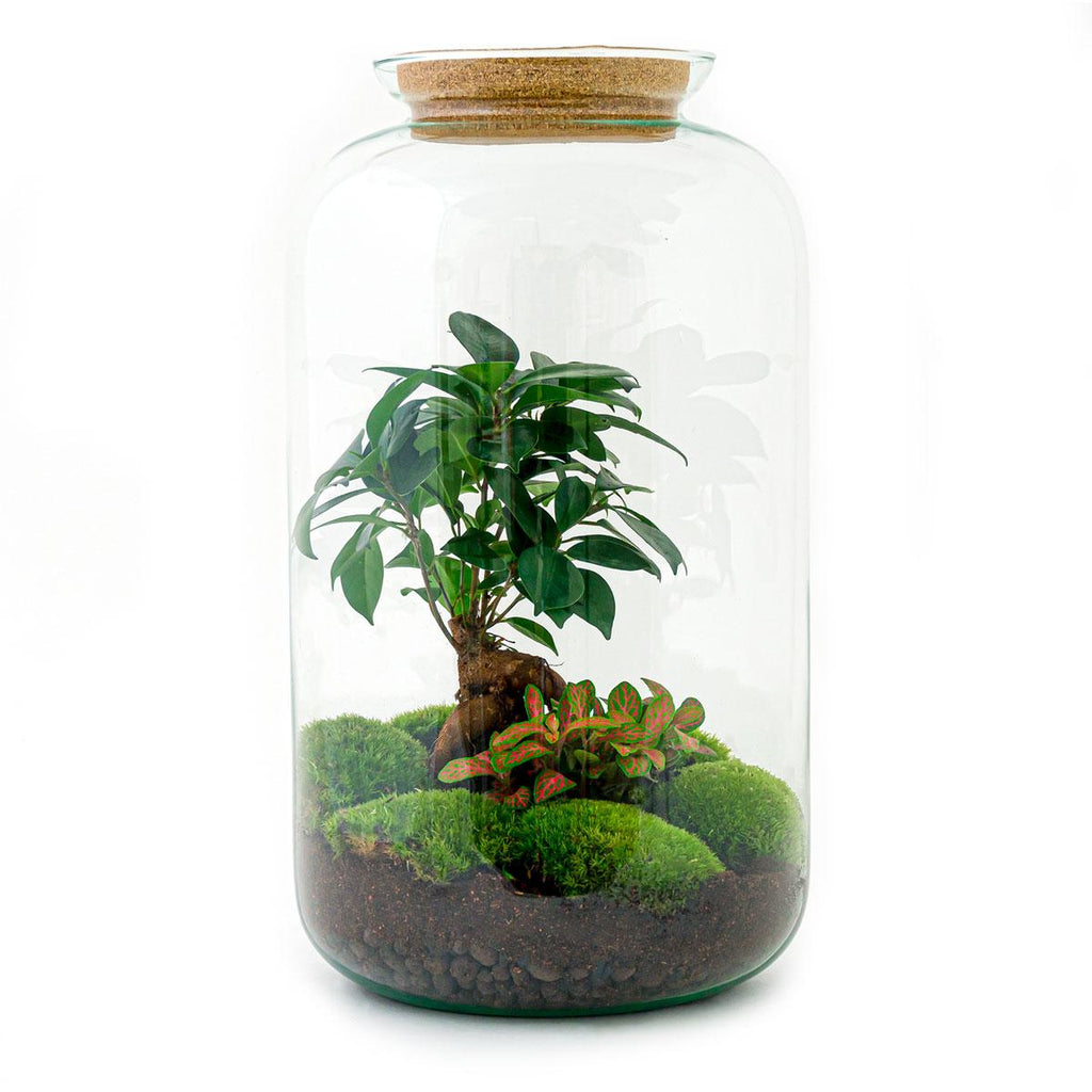 Flaschengarten - Sven Bonsai - ↕ 43 cm - Rechen + Schaufel + Pinzette + Schere