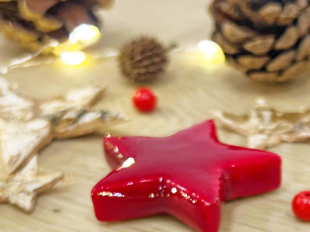 Weihnachts-Terrarium-Dekorationspaket