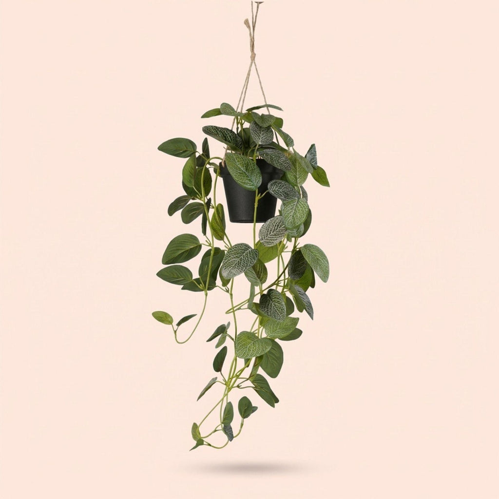 Fittonia – Hängepflanze im Topf – 70 cm – Kunstpflanze