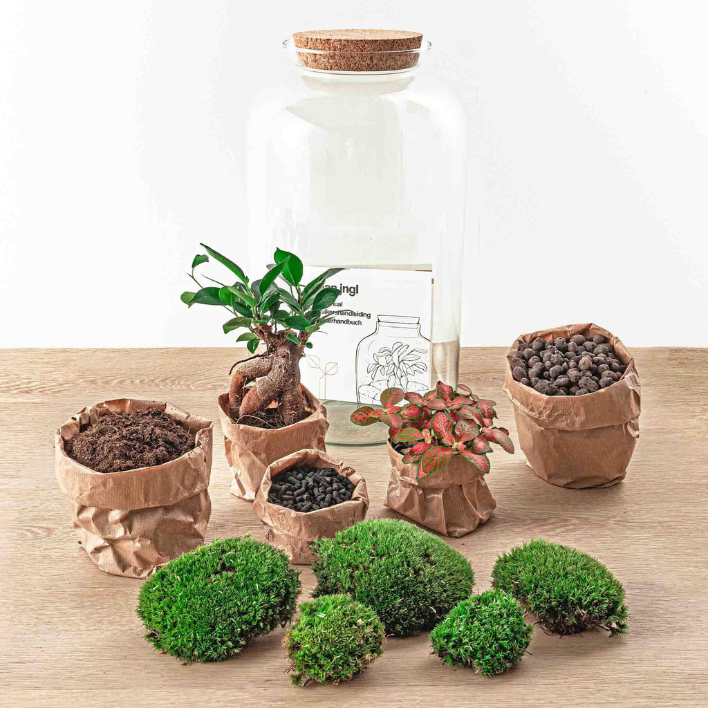 Flaschengarten - Sven Bonsai - ↕ 43 cm - Rechen + Schaufel + Pinzette + Schere