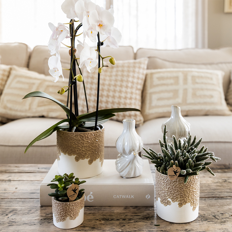 Blumentopf – Sand – Ø 6 cm