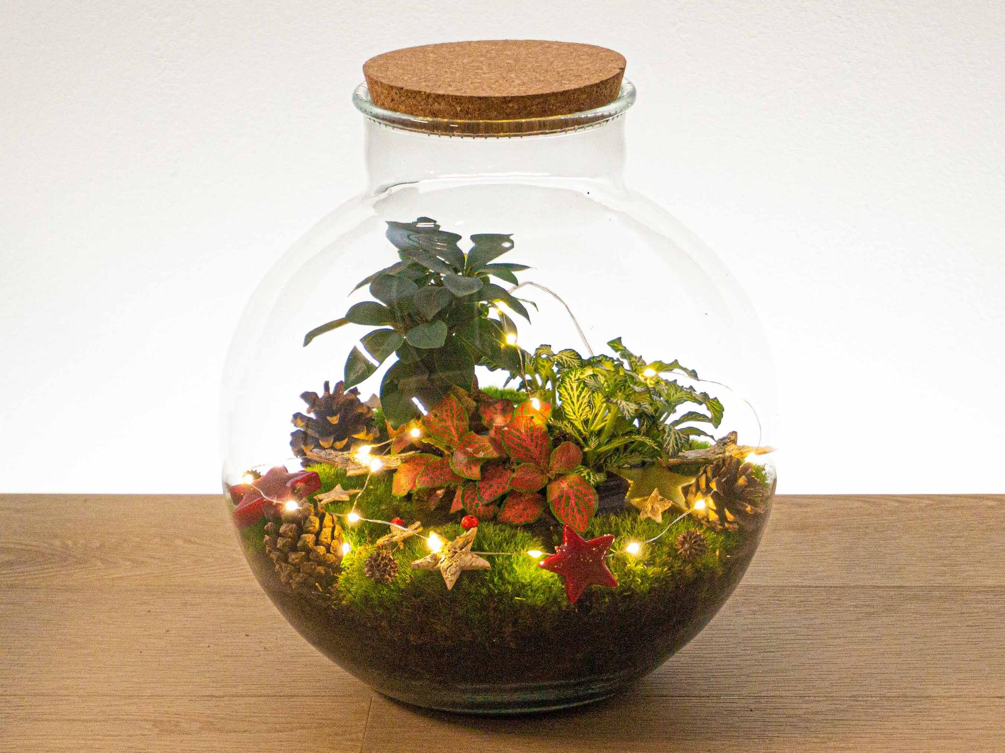 Weihnachts-Terrarium-Dekorationspaket