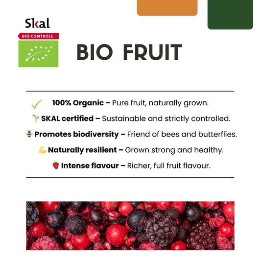 3 x Bio-Brombeerpflanzen – Ø 13 cm – ↨ 20 cm
