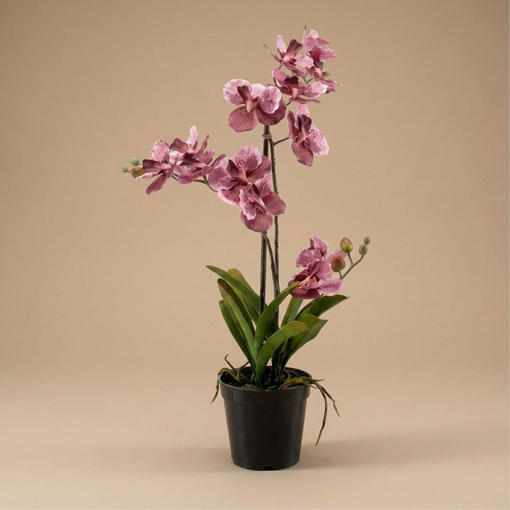 Orchidee Vanda Kunstpflanze 60 cm – Altrosa – Im Topf – Künstliche Pflanze