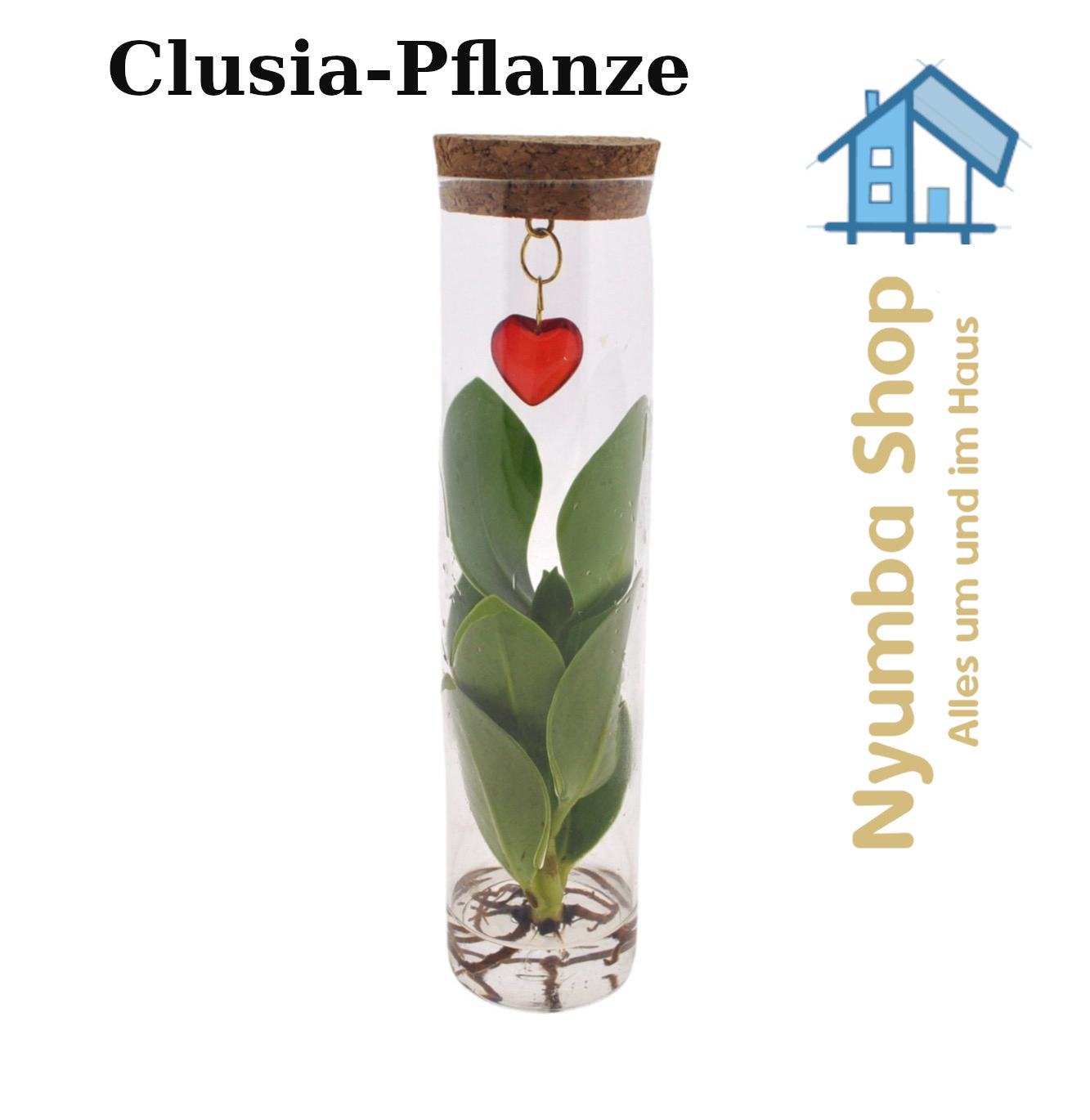 Mix In Tube Glas + Jewel (Herzchen) - Ø7cm - ↕15cm