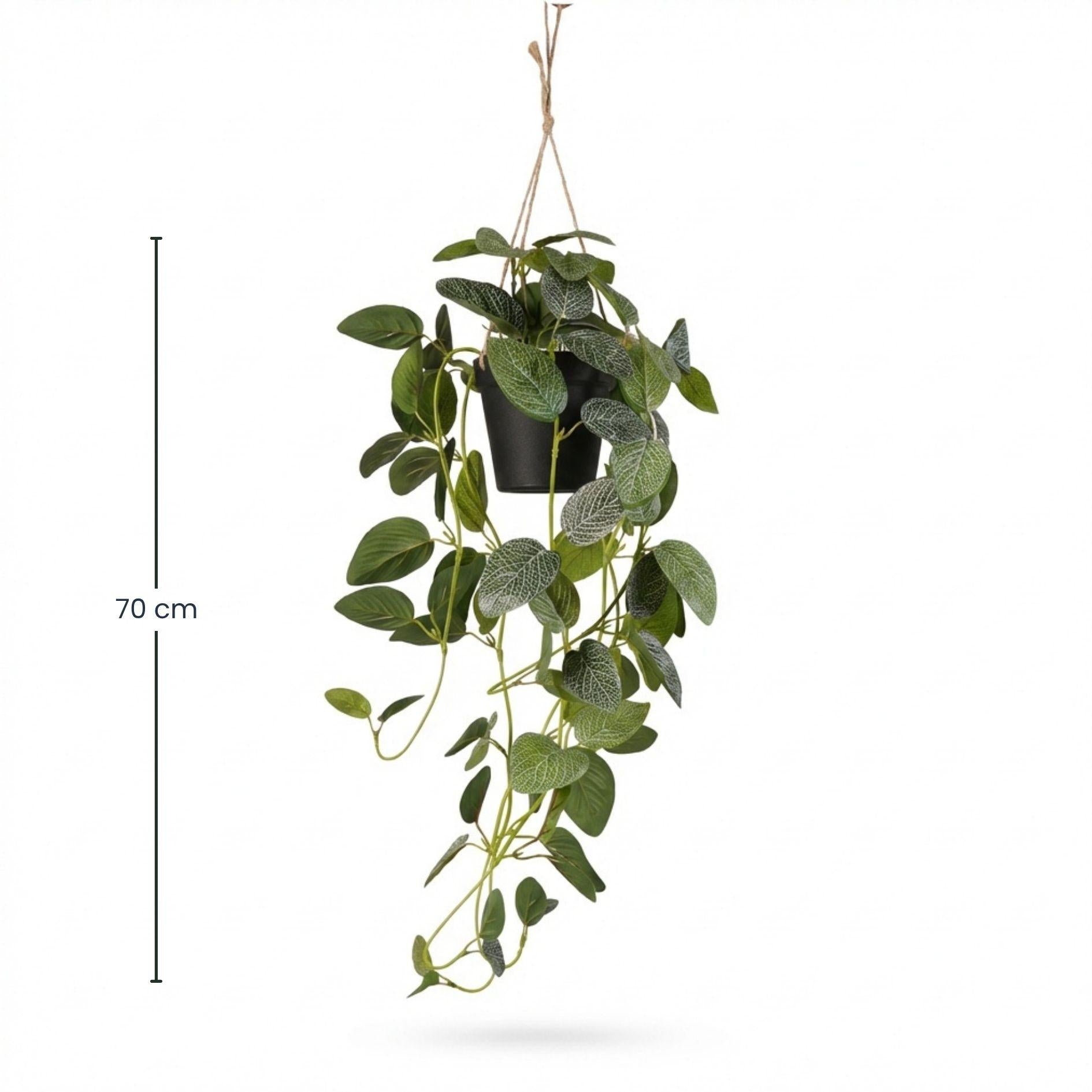 Fittonia – Hängepflanze im Topf – 70 cm – Kunstpflanze