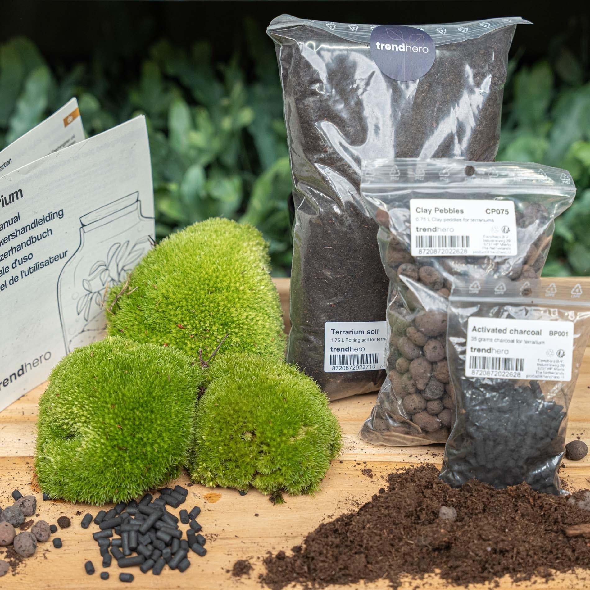 Nachfüllset & Starter-Set für Pflanzenterrarien – Größe L/XL