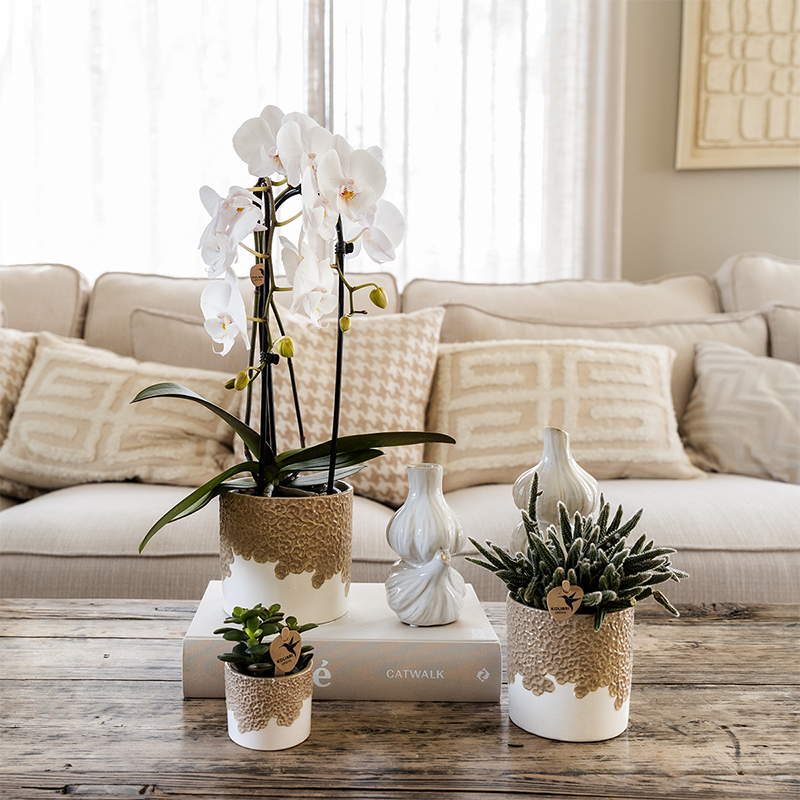 Blumentopf – Sand – Ø 6 cm