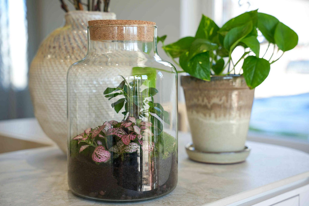 'LOVE MOM' Terrarium Little Milky + gravierter Kork mit Licht - Flaschengarten DIY Set - Ø 17 cm ↑ 25 cm - Muttertag