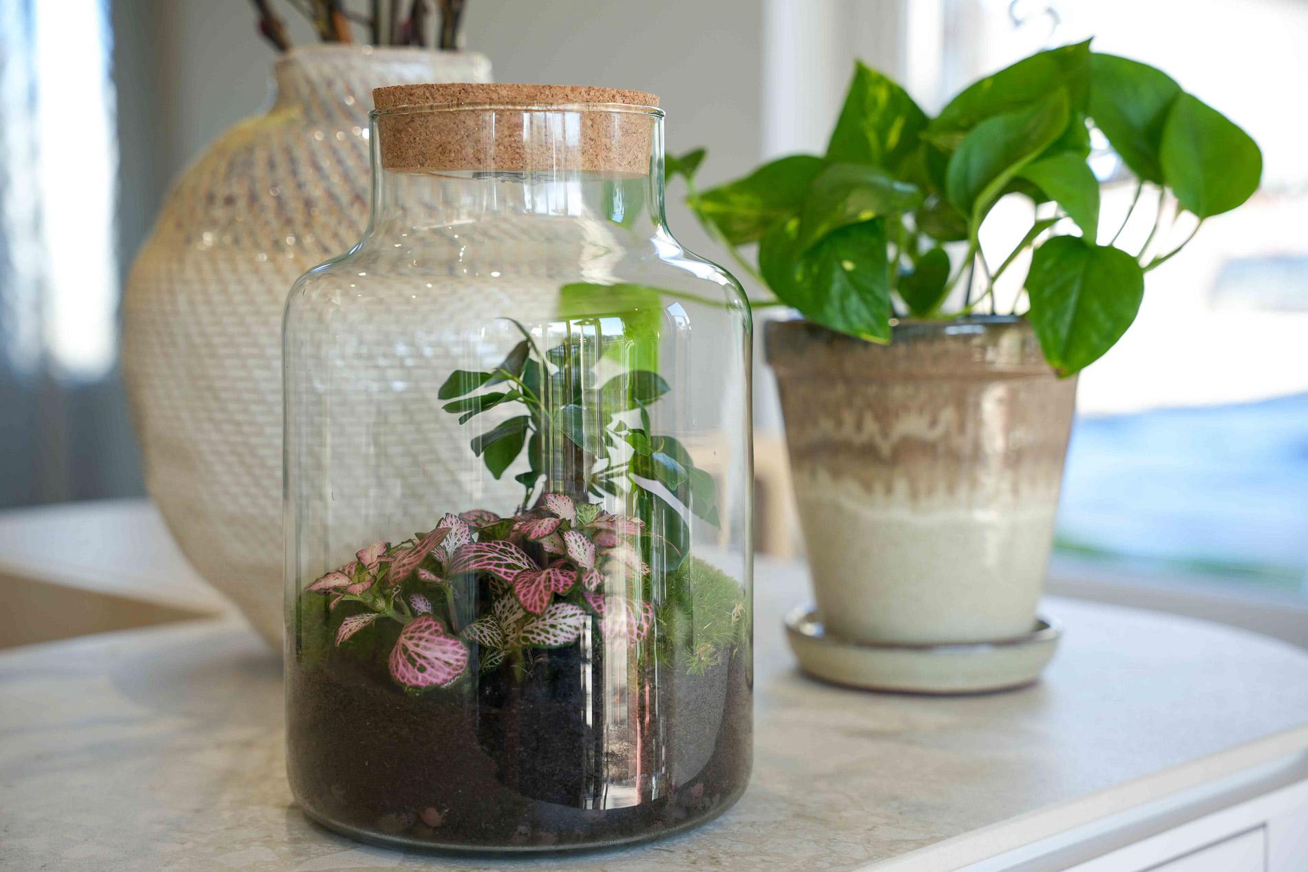 'LOVE MOM' Terrarium Little Milky + gravierter Kork mit Licht - Flaschengarten DIY Set - Ø 17 cm ↑ 25 cm - Muttertag