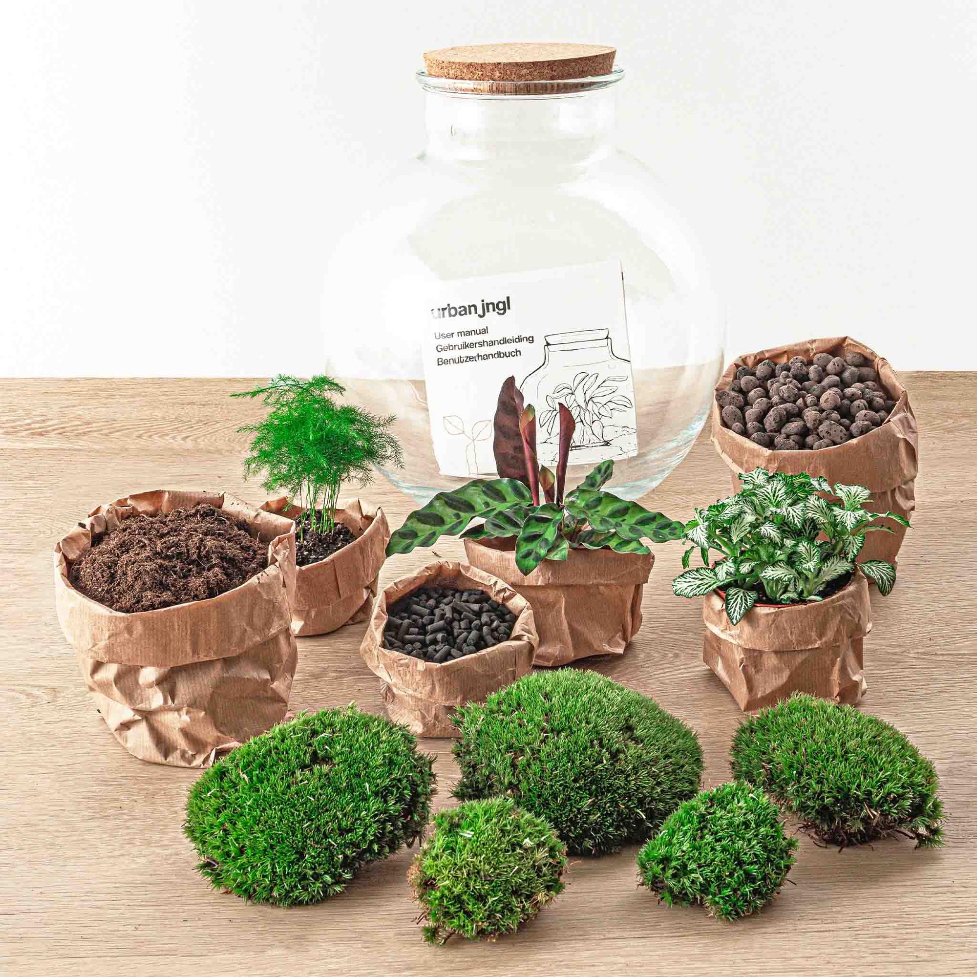 Flaschengarten - Bolder Bob - ↕ 30 cm - Rechen + Schaufel + Pinzette