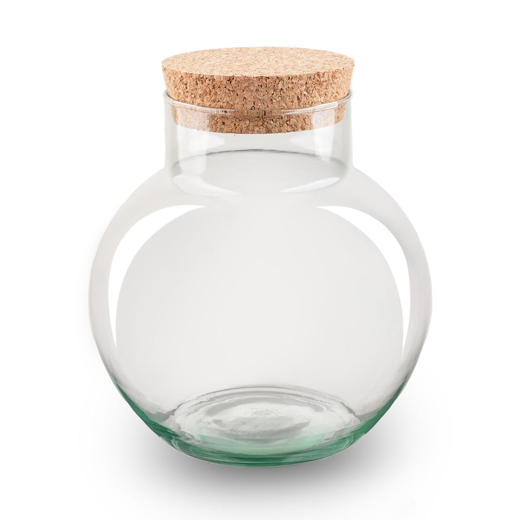 Terrarium mit Korkverschluss – Noah – ↑ 20 cm