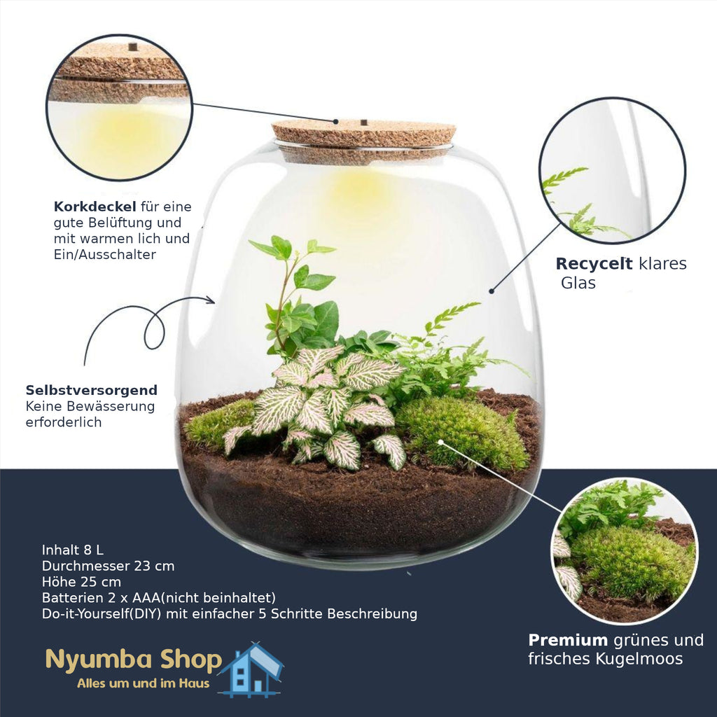 Pflanzenterrarium – Emma – DIY-Set – ↑ 25 cm – Ø 23 cm – Hedera Pink
