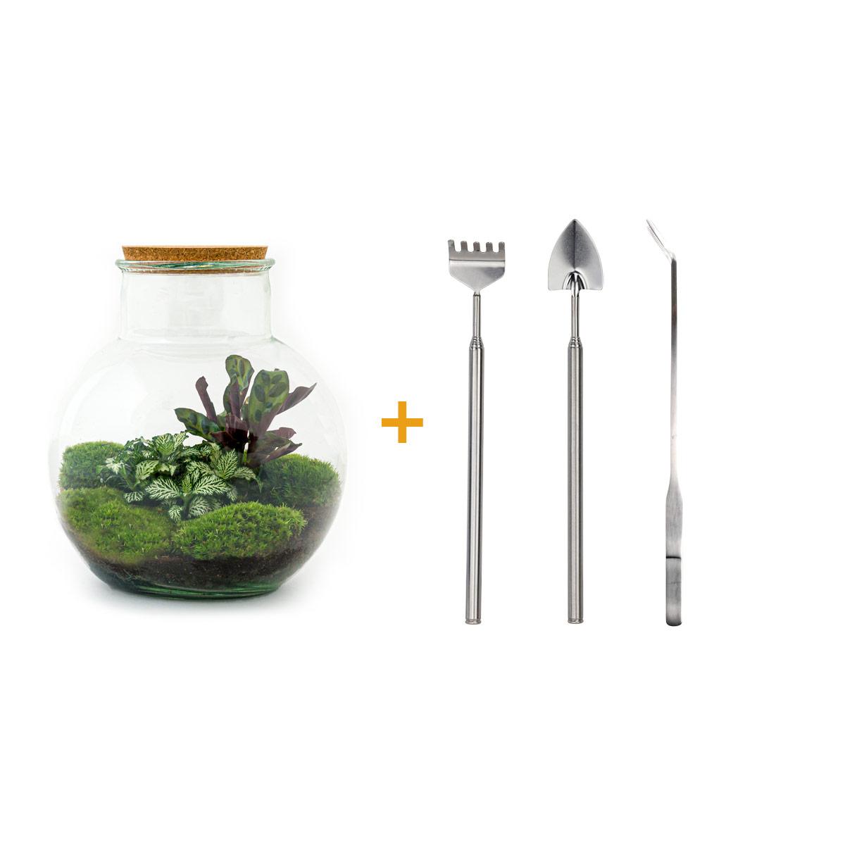 Flaschengarten - Teddy - ↕ 26,5 cm Rechen + Schaufel + Pinzette