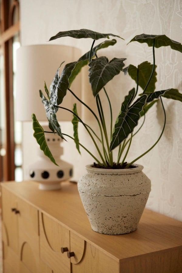 Alocasia 80 cm – Kunstpflanze