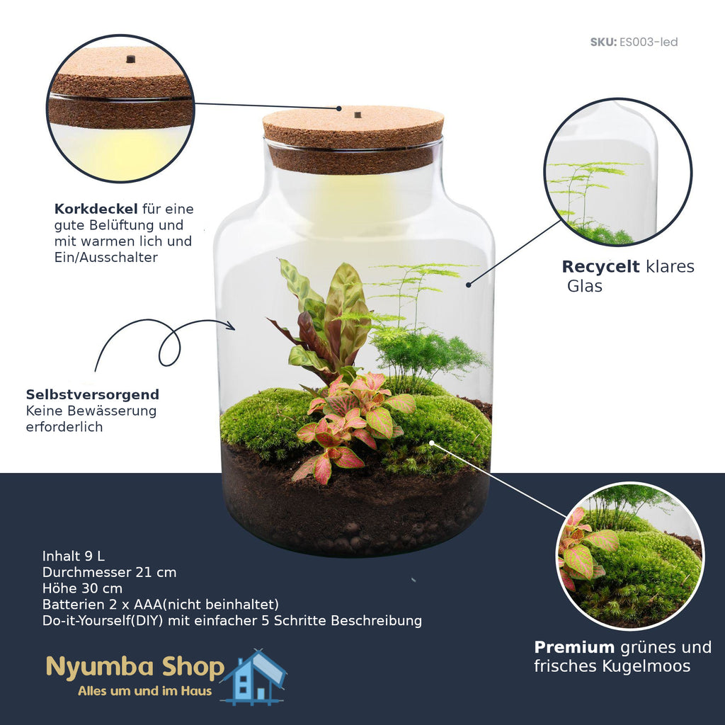 Flaschengarten - Milky - ↕ 30 cm - Keine Werkzeuge erforderlich