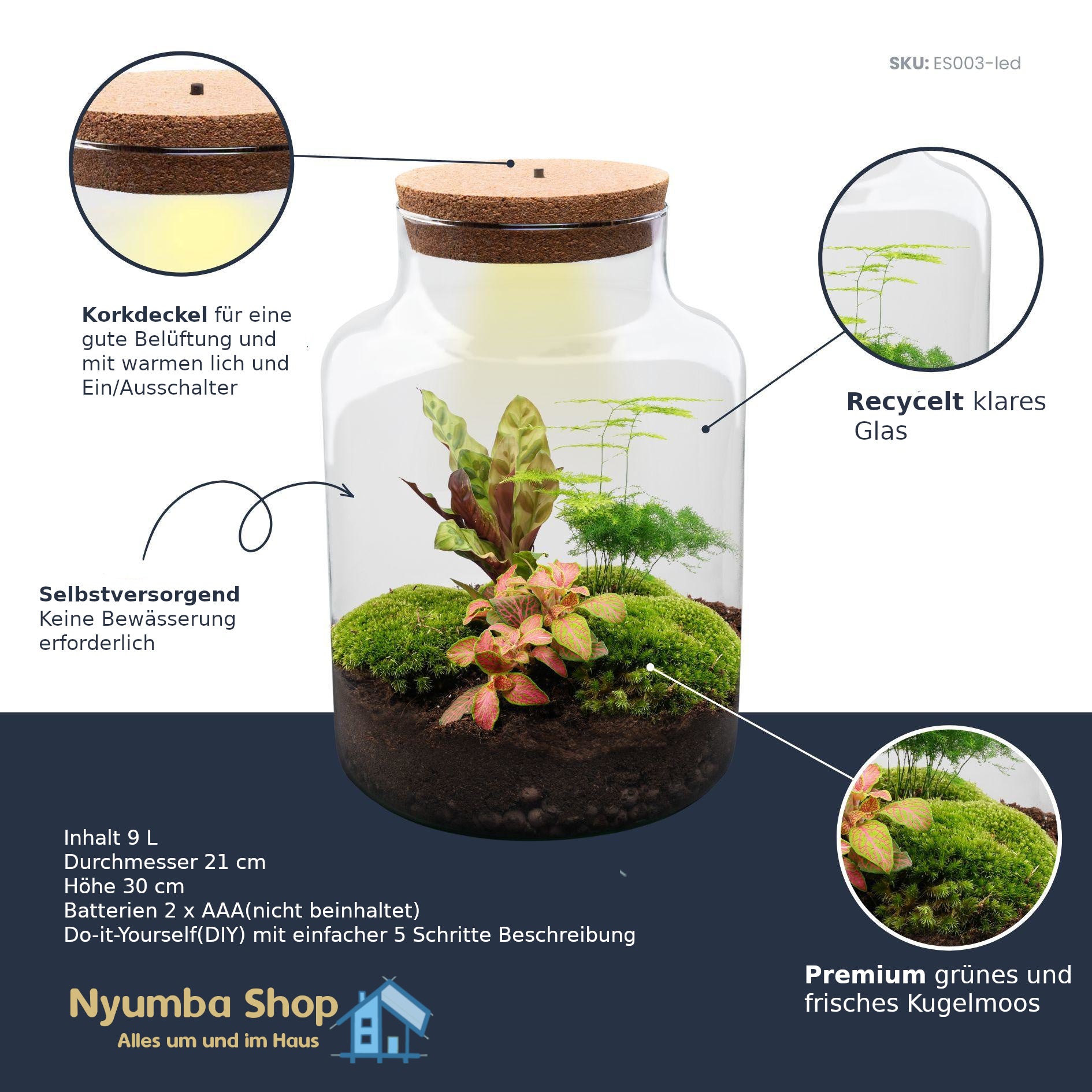 Flaschengarten - Milky - ↕ 30 cm - Keine Werkzeuge erforderlich