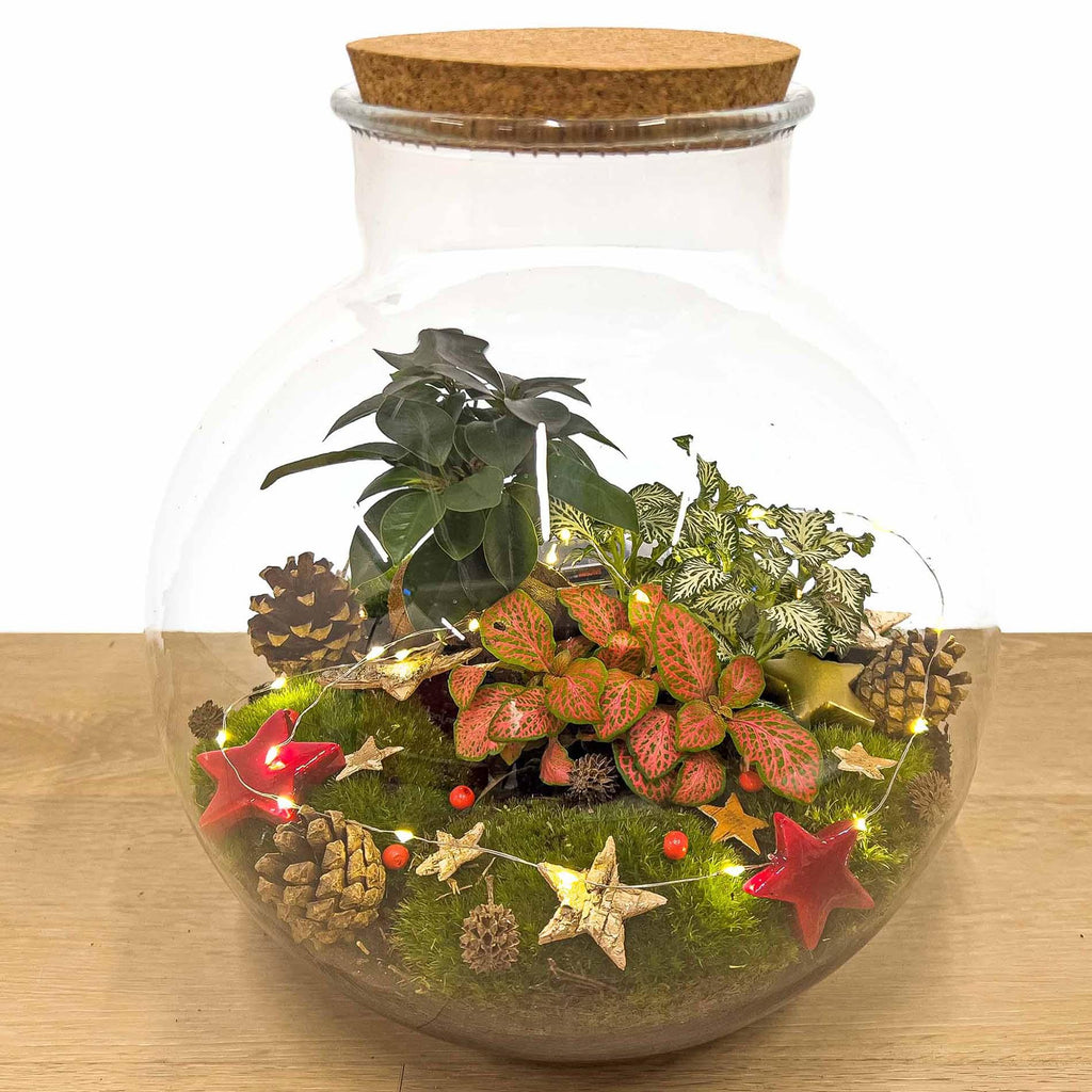 Weihnachts-Terrarium-Dekorationspaket