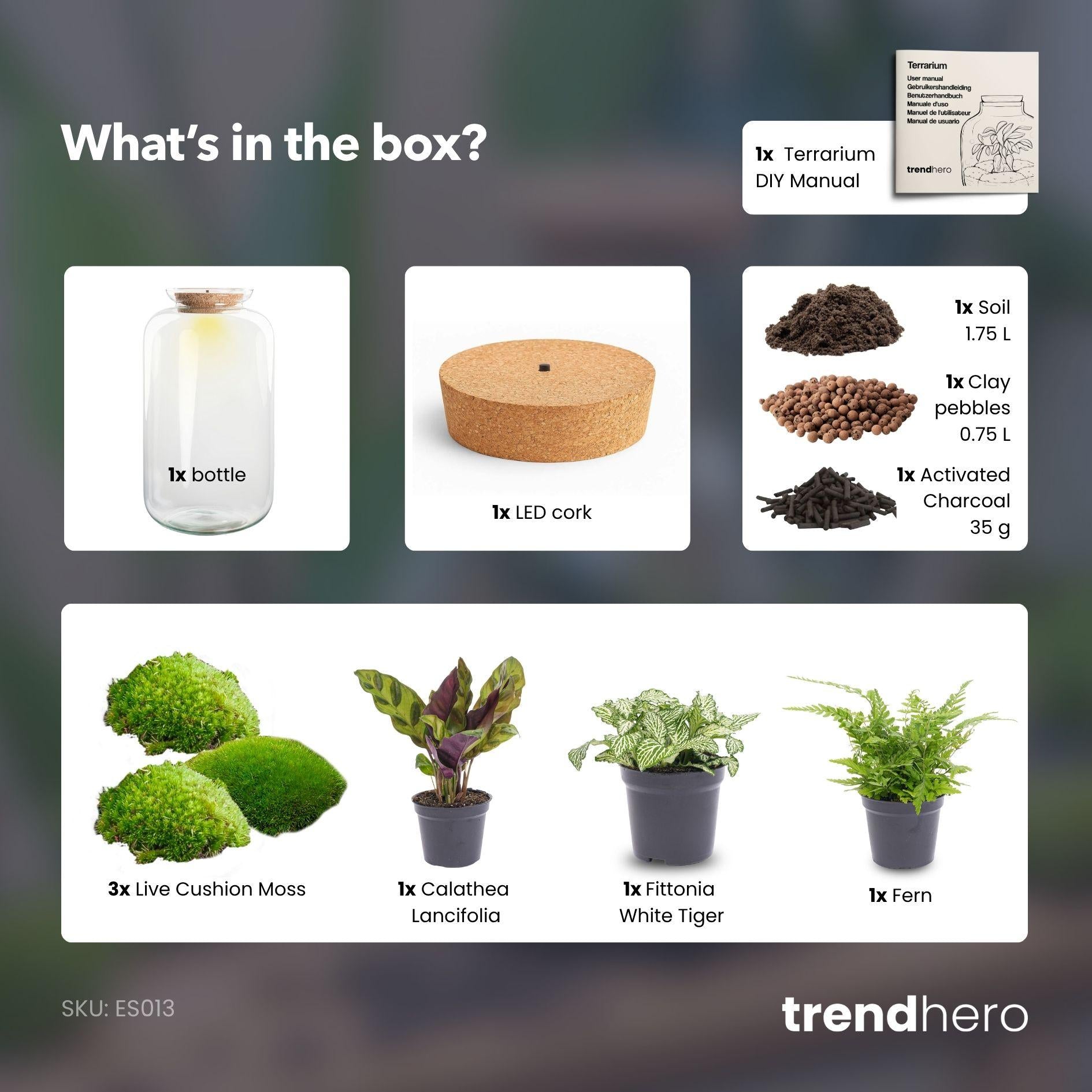 Flaschengarten - Botanical Sven XL - ↕ 43 cm - No tools