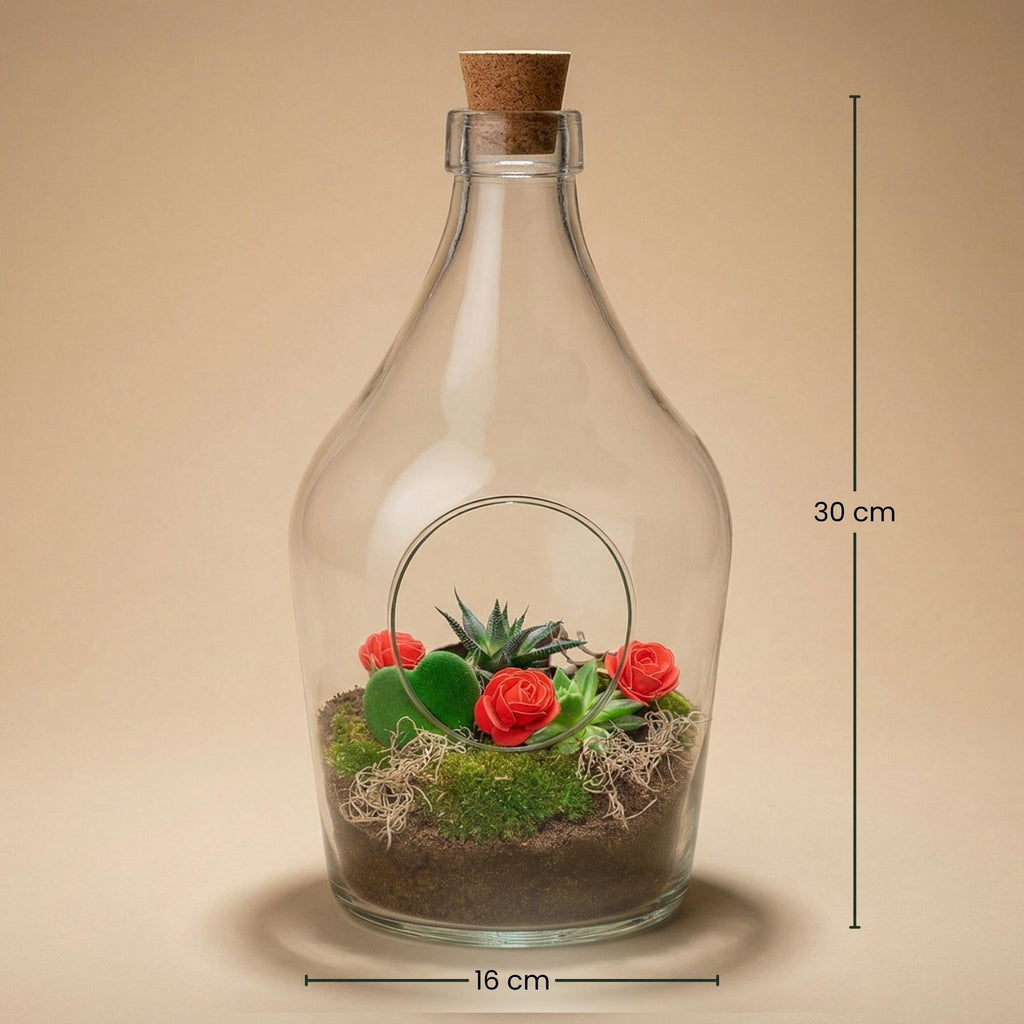 Love in a Bottle – DIY Offenes Pflanzenterrarium – Ø 16 cm ↑ 30 cm
