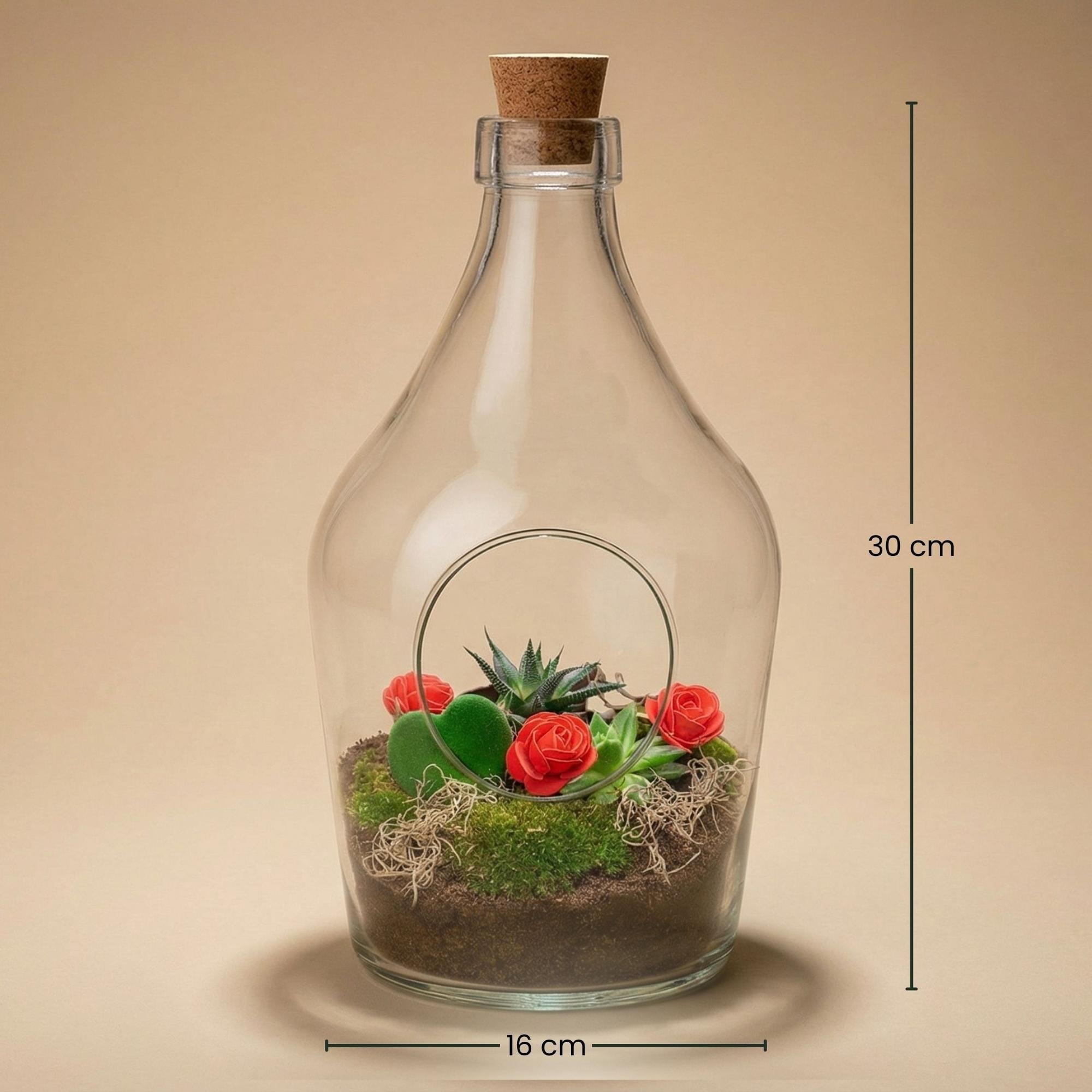 Love in a Bottle – DIY Offenes Pflanzenterrarium – Ø 16 cm ↑ 30 cm