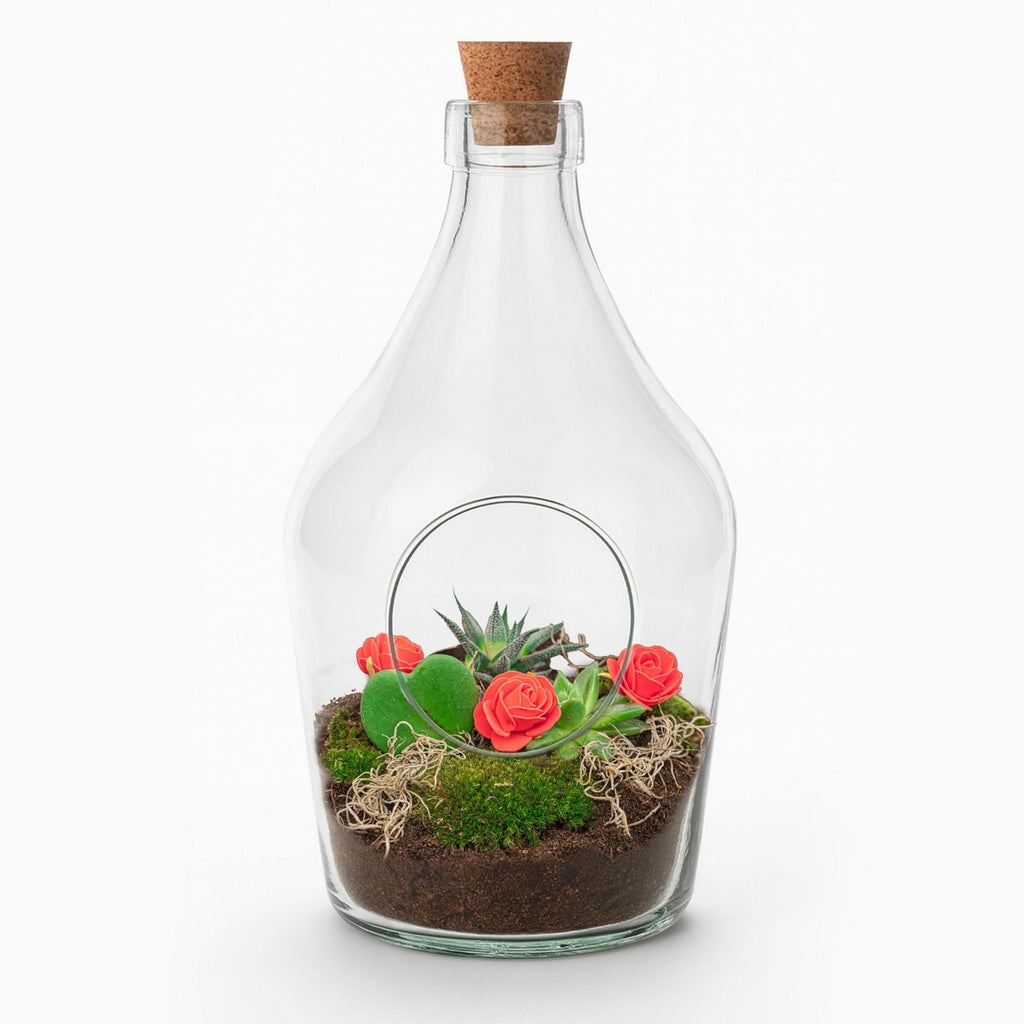 Love in a Bottle – DIY Offenes Pflanzenterrarium – Ø 16 cm ↑ 30 cm