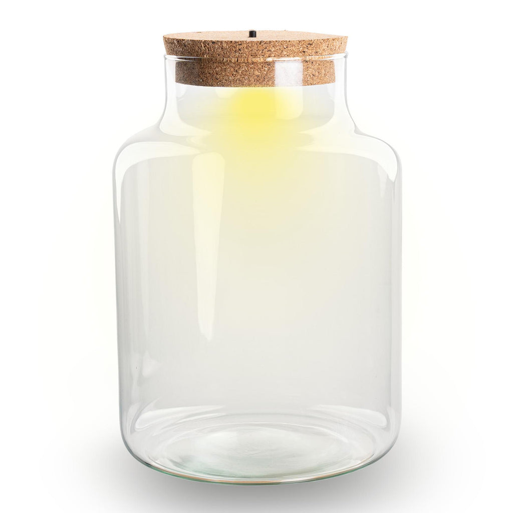 Terrarienflasche mit Korkverschluss – Little Milky mit LED-Korkverschluss – Geschlossenes großes Terrarium ↑ 24,5 cm