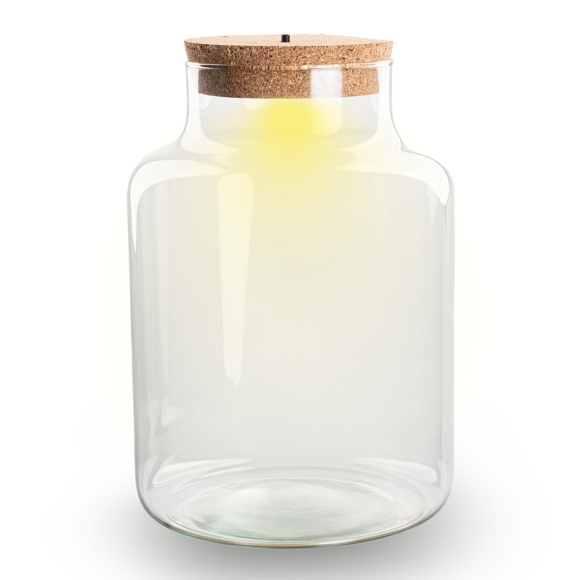 Terrarienflasche mit Korkverschluss – Little Milky mit LED-Korkverschluss – Geschlossenes großes Terrarium ↑ 24,5 cm