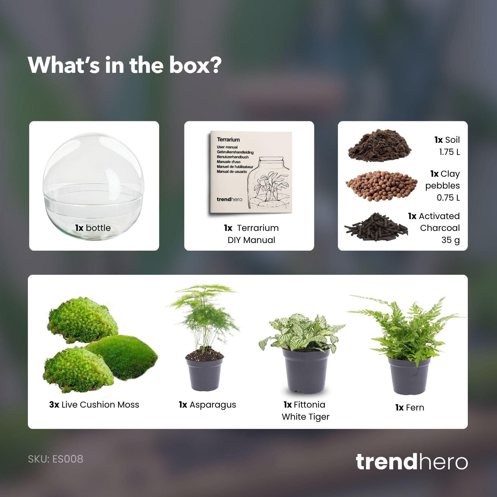 Flaschengarten - Dome XL - ↕ 30 cm - No tools