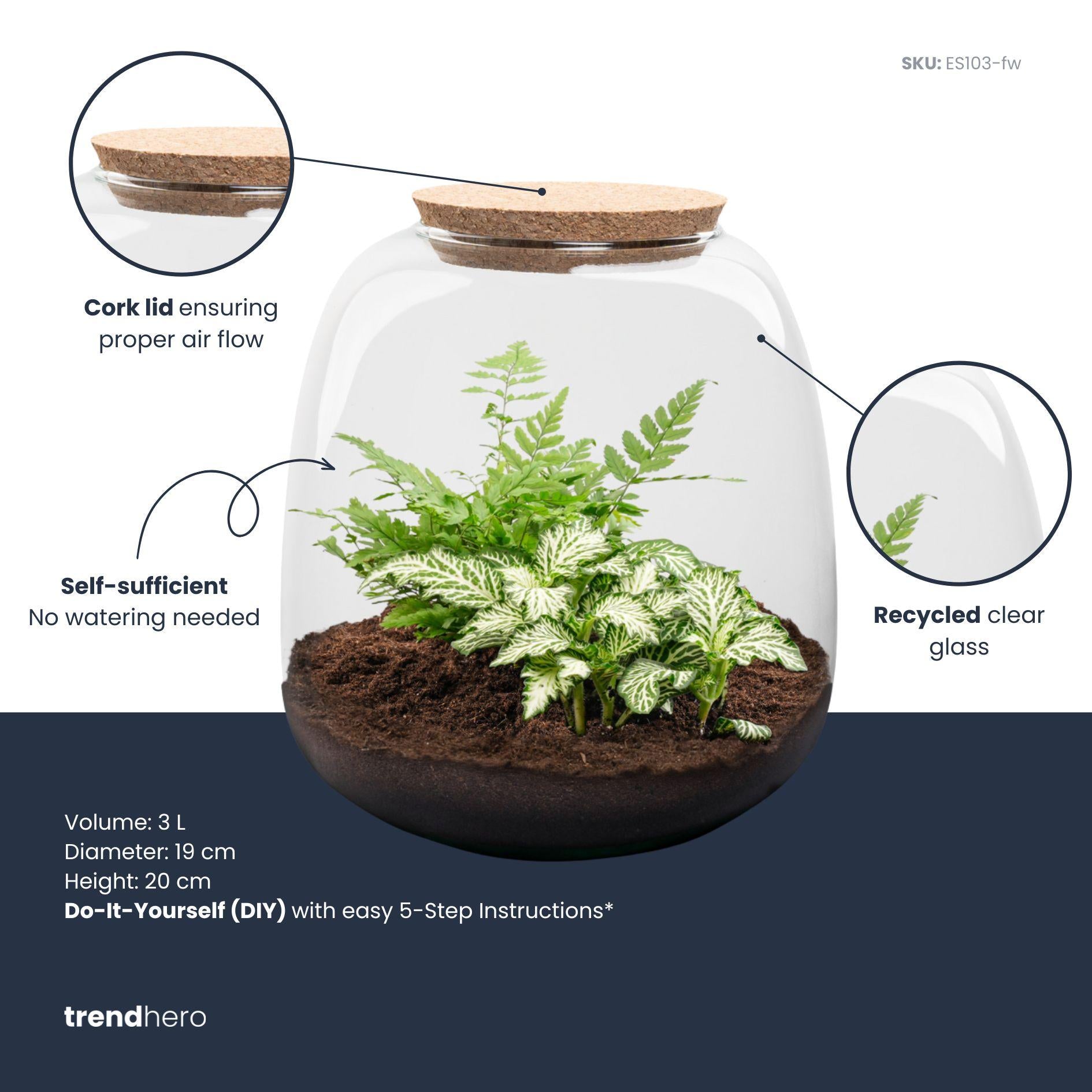 Pflanzen-Terrarium – Emma Mini – DIY – Höhe: 20 cm – Durchmesser: 19 cm – Fittonia „White Tiger“