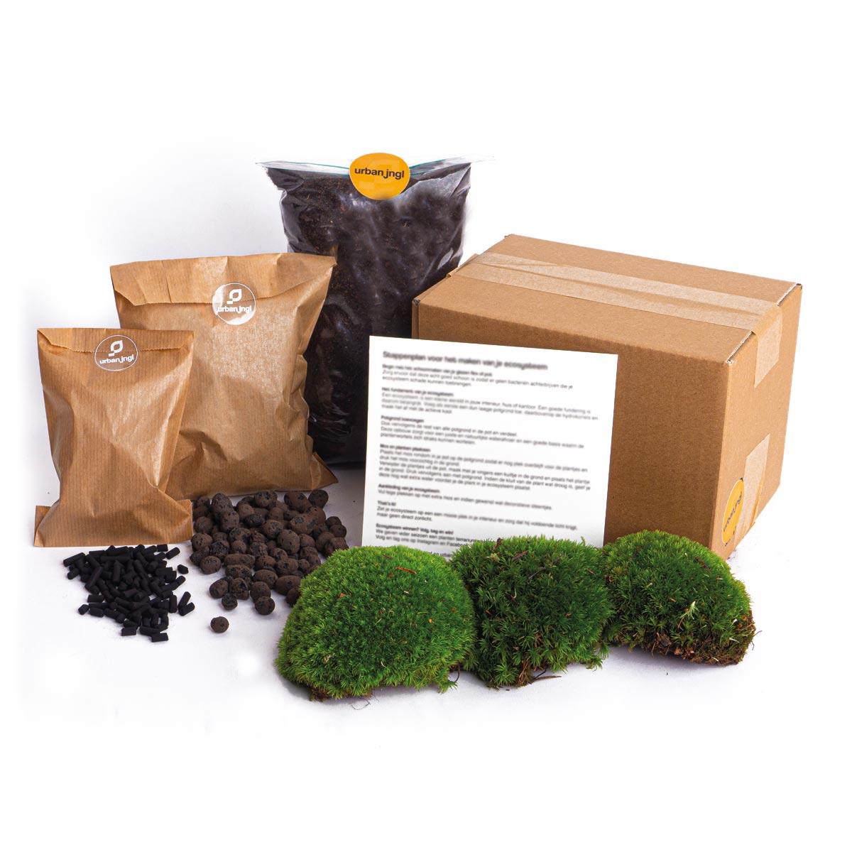 Nachfüllset & Starter-Set für Pflanzenterrarien – Größe L/XL