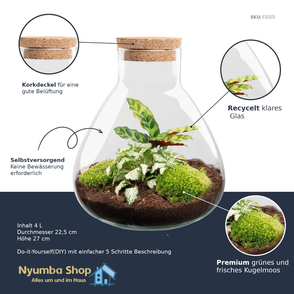 Flaschengarten – Sammie – ↕ 26 cm – Keine Werkzeuge erforderlich