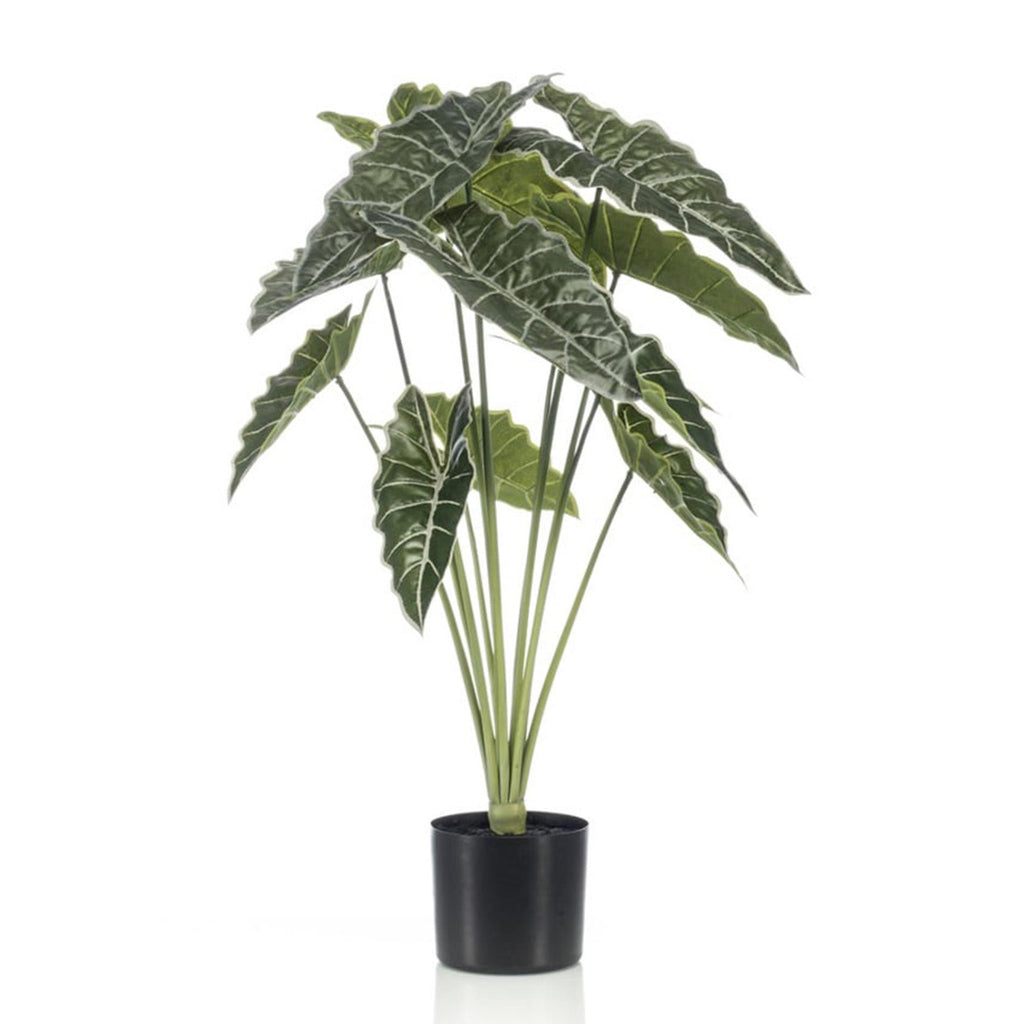 Alocasia 80 cm – Kunstpflanze