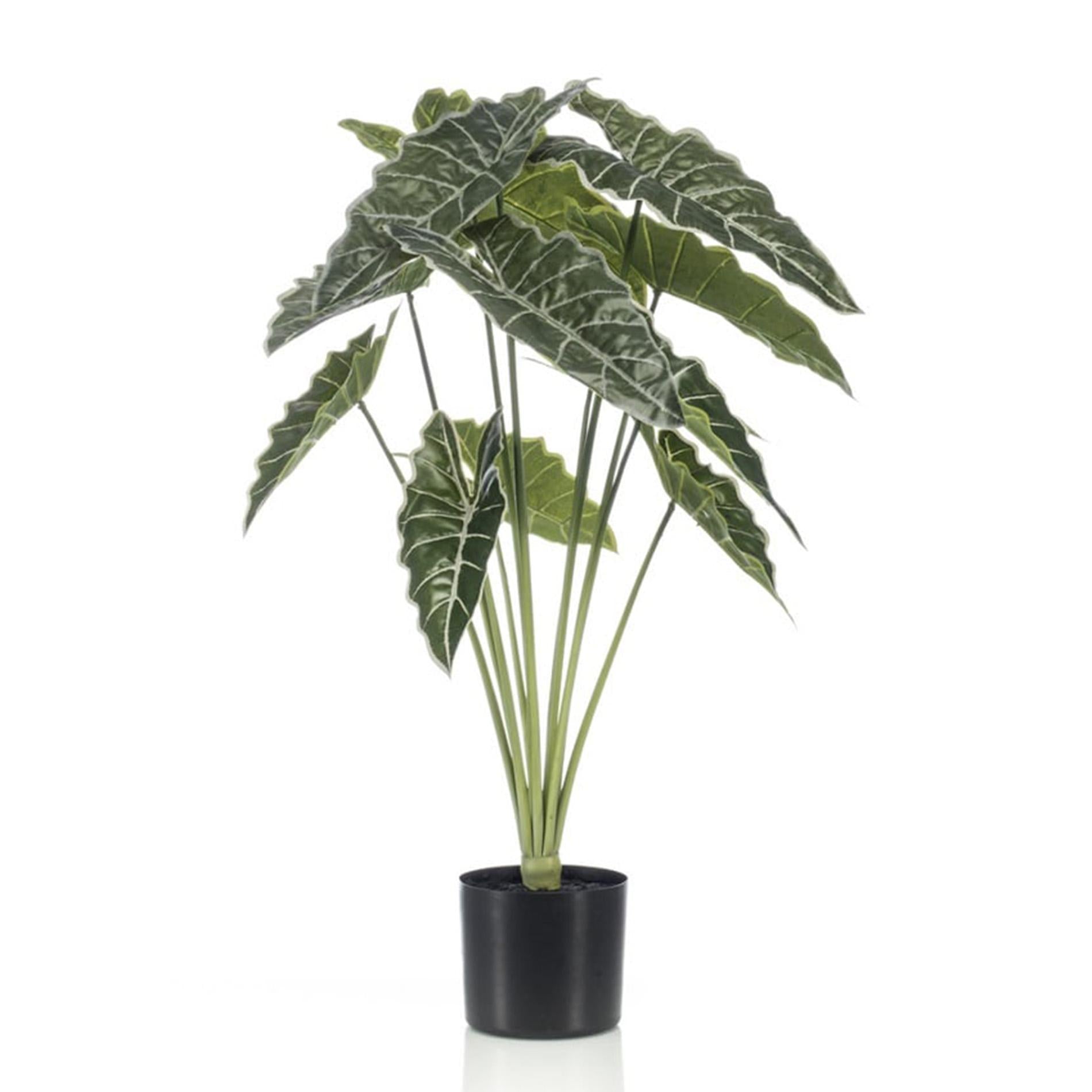 Alocasia 80 cm – Kunstpflanze