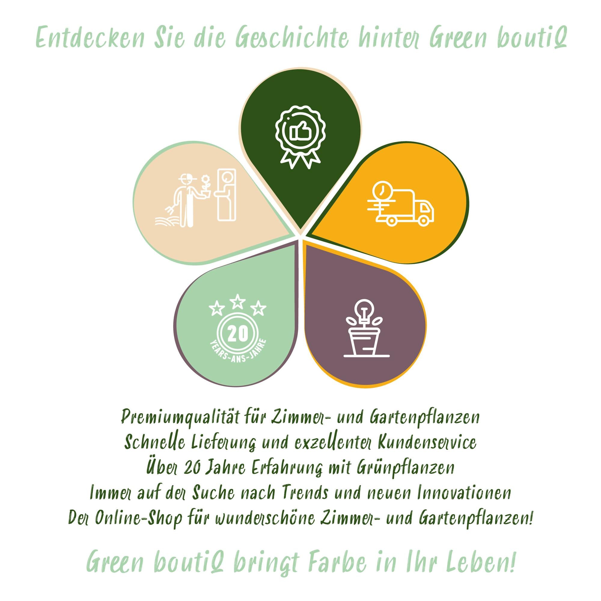 GreenboutiQ - Blumenzwiebeln -  Verschiedene Farben - 125 Stück - Geschenkverpackung