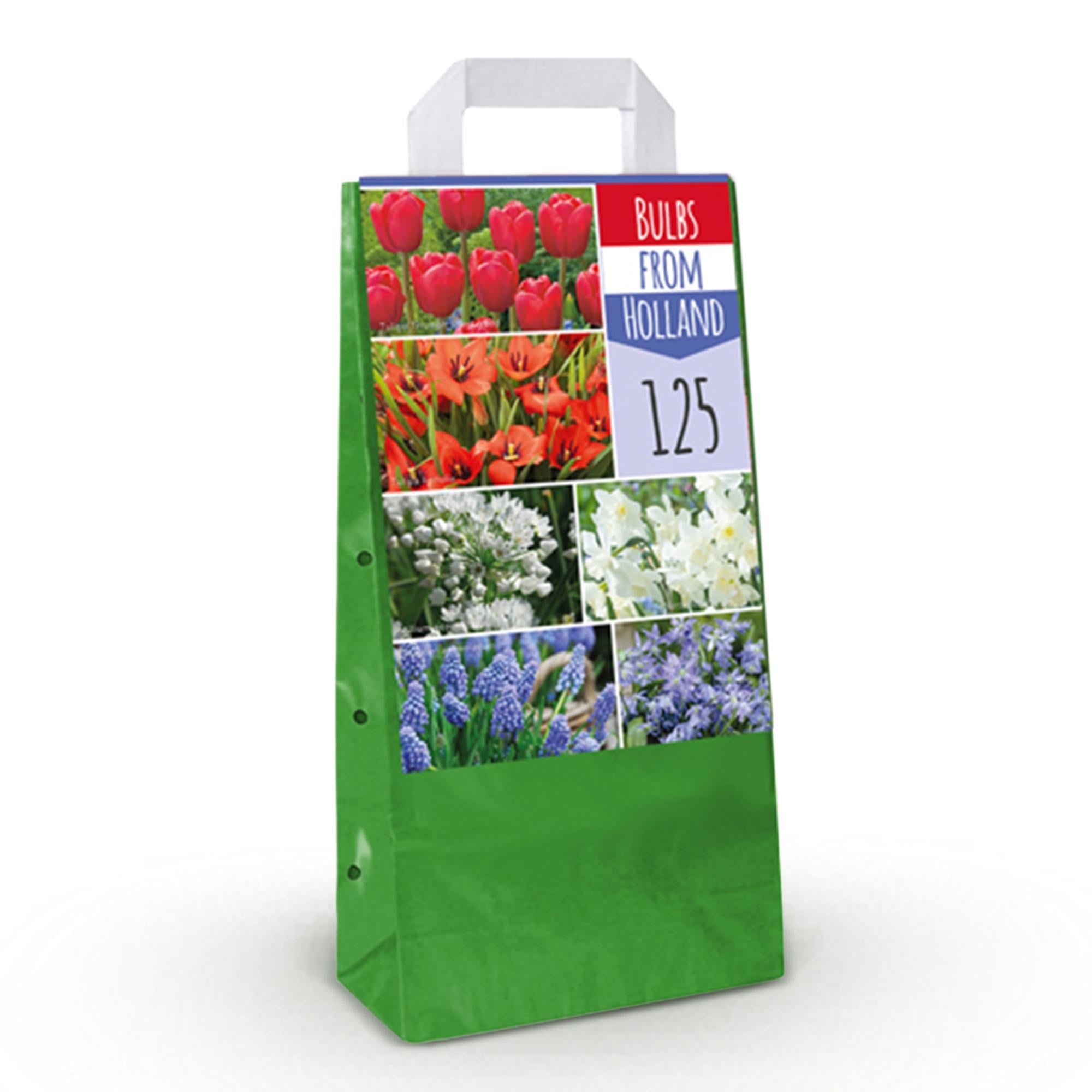 GreenboutiQ - Blumenzwiebeln -  Verschiedene Farben - 125 Stück - Geschenkverpackung