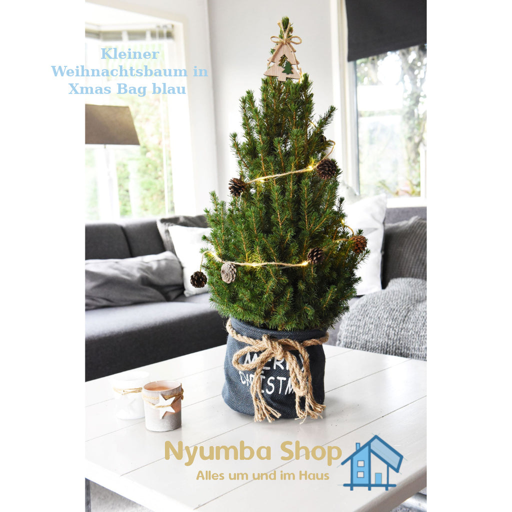 Kleiner Weihnachtsbaum in Xmas Bag blau – 70 cm – Picea Glauca Conica – Tannenzapfenbeleuchtung inklusive Batterien