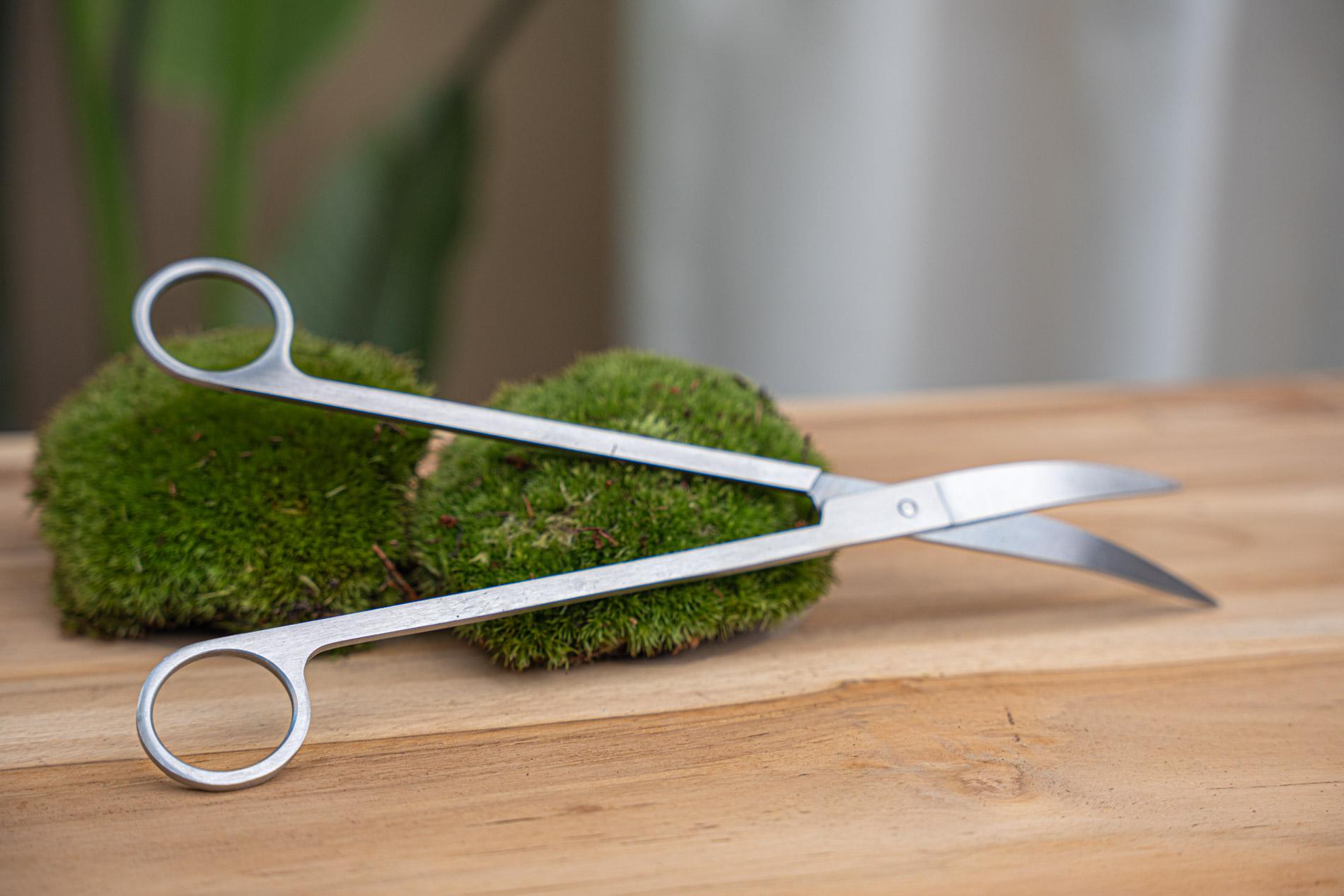 Lange Terrarienschere – Edelstahl – ↑ 25 cm