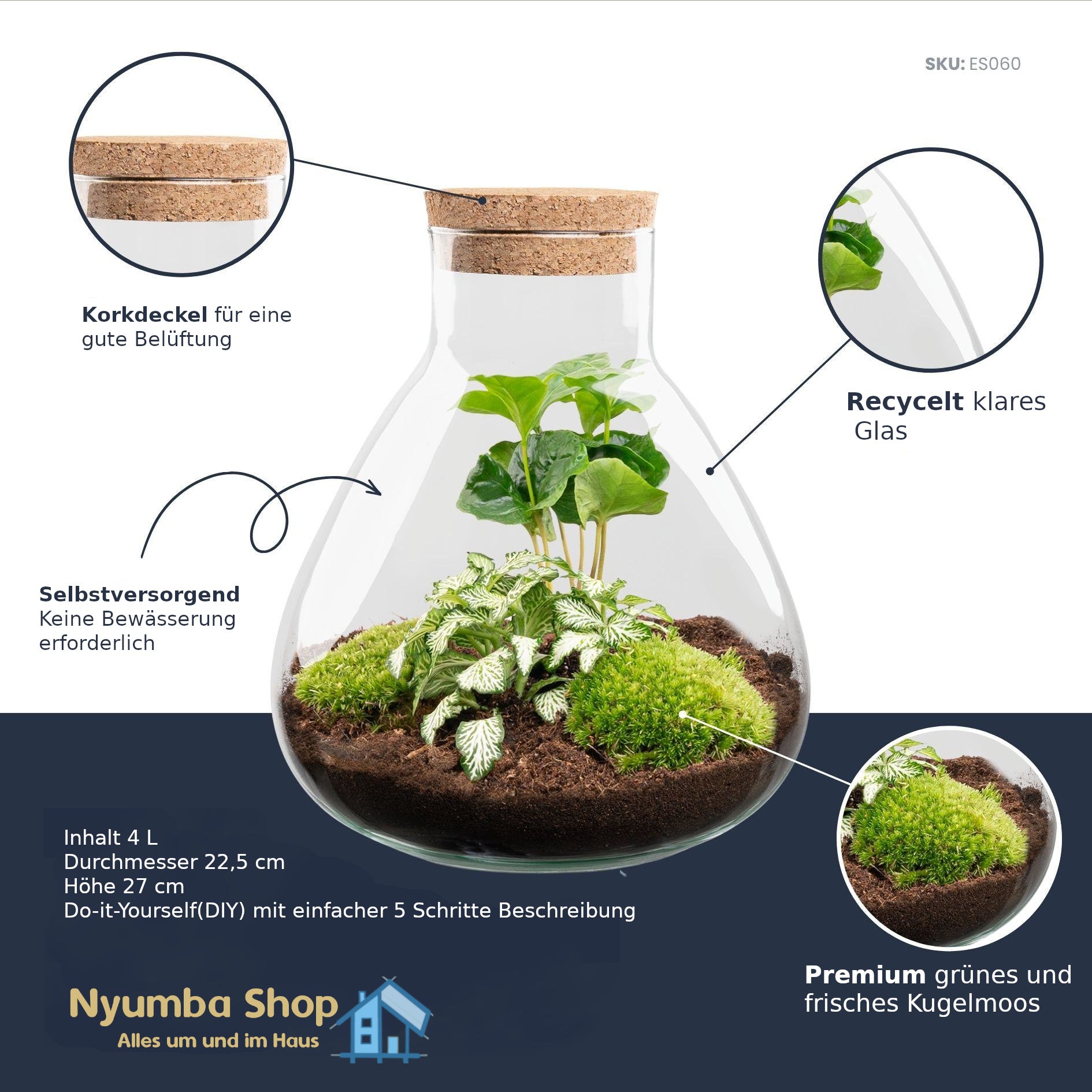 DIY Terrarium – Sammie – ↕ 27 cm