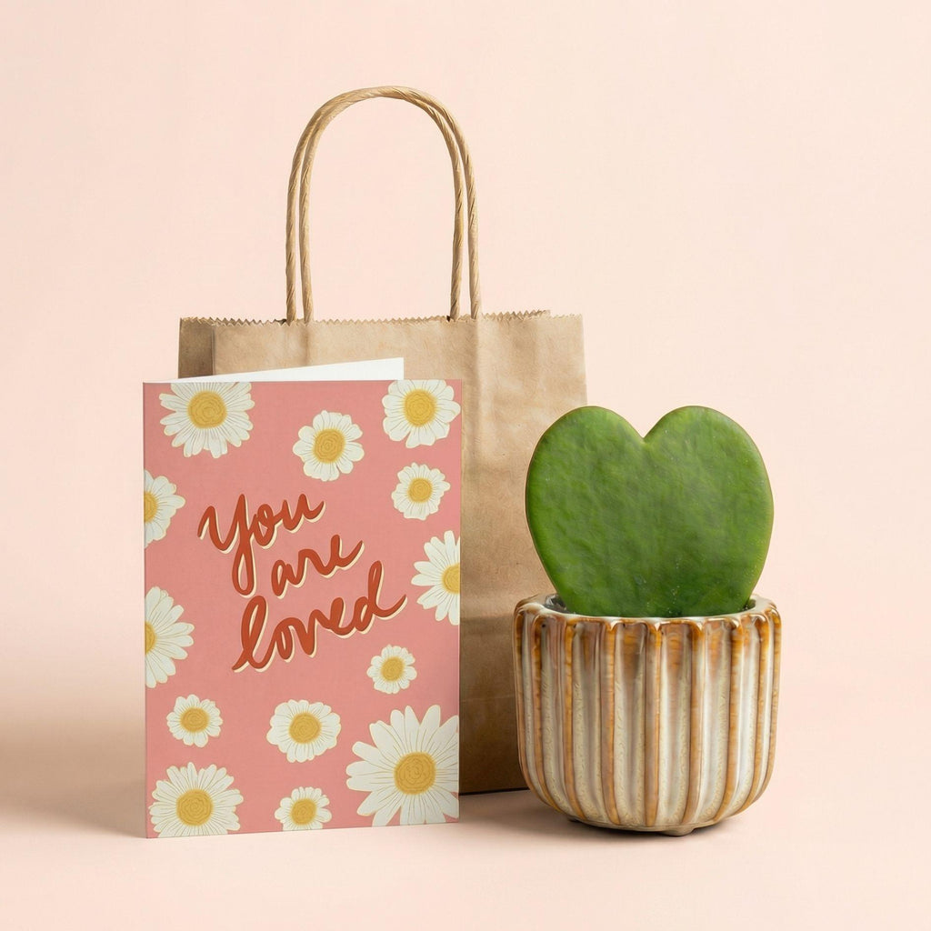 Geschenkset – Love Set – Herzpflanze, Topf, Grußkarte & Geschenktüte