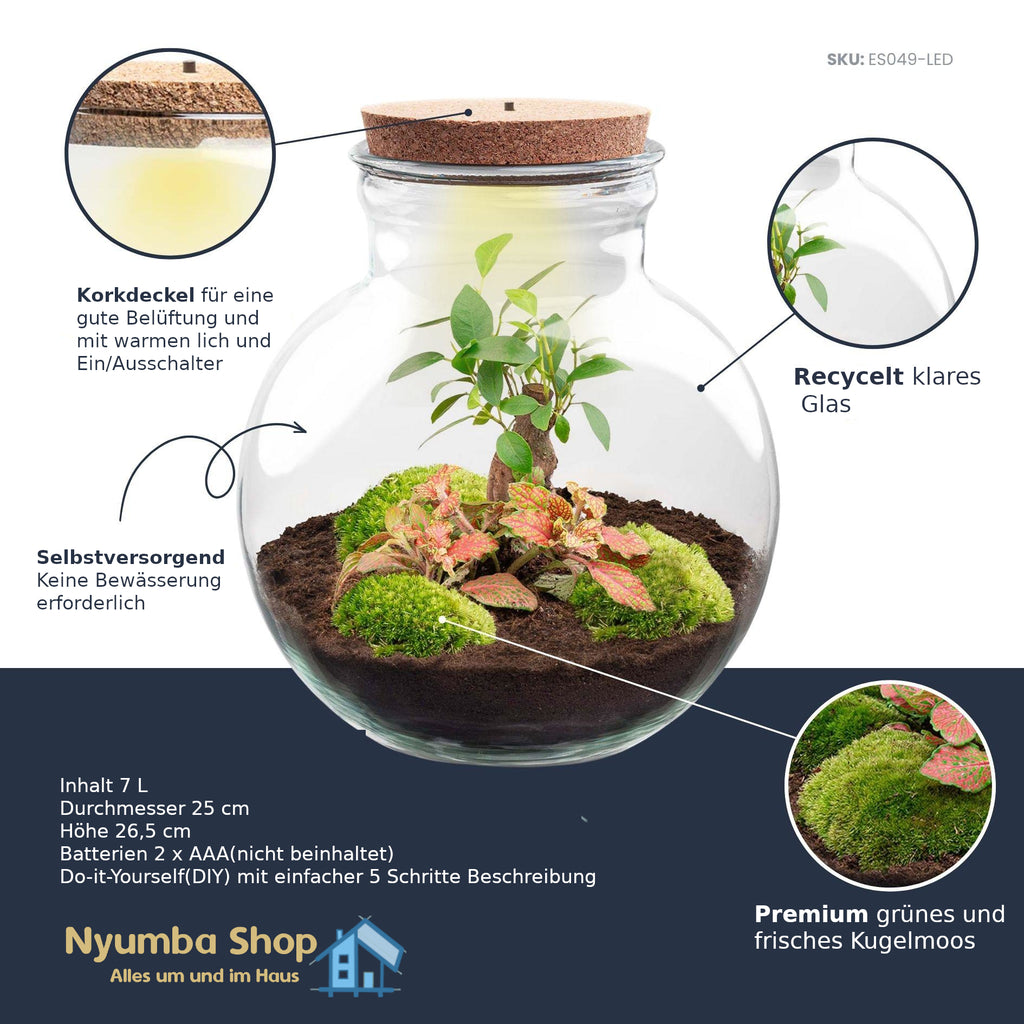 Flaschengarten – Teddy-Bonsai – ↕ 26,5 cm – Mit LED-Korken