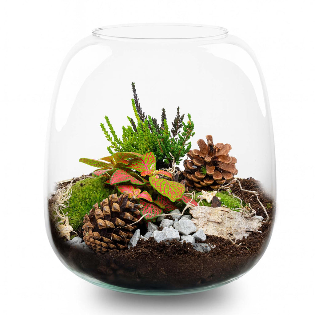 Berry Christmas Terrarium – Pflanzterrarium  – DIY-Set Christmas – Ø 19 cm ↑ 20 cm