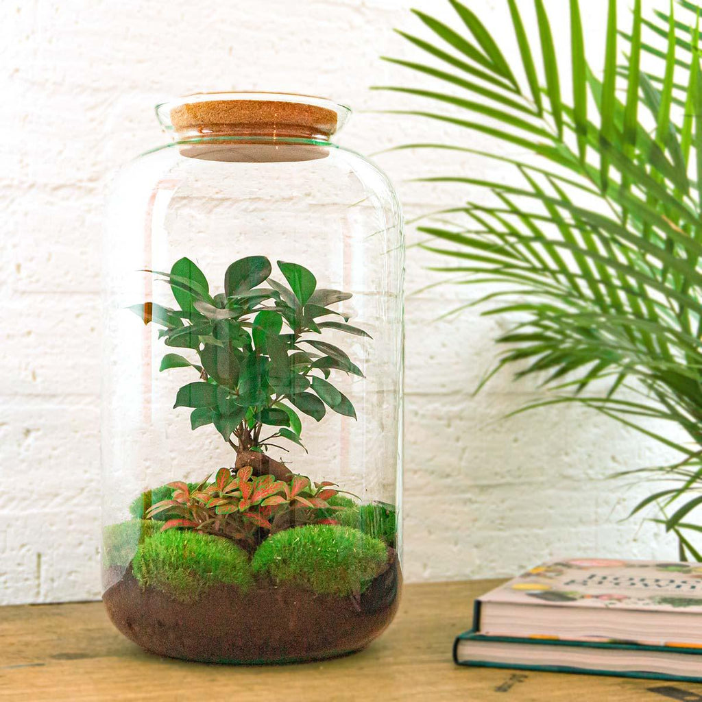 Flaschengarten - Sven Bonsai - ↕ 43 cm - Rechen + Schaufel + Pinzette + Schere